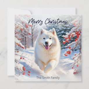 Samojede Hund im Schnee Frohe Weihnachten Grußkart