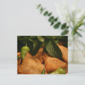 Samosa Postkarte (Stehend Vorderseite)