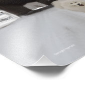 Samoyed 11" x 8,5", Kodak Pro. Foto Paper (Satin) (Ecke)