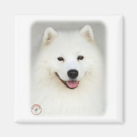 Samoyed 9Y566D-019 Magnet (Vorne)