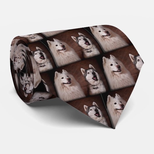 Samoyed and Husky Krawatte (Gerollt)