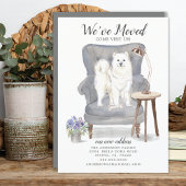 samoyed | Ankündigung der Beförderung