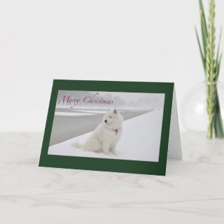 Samoyed Christmas (Lincoln Memorial) Feiertagskarte