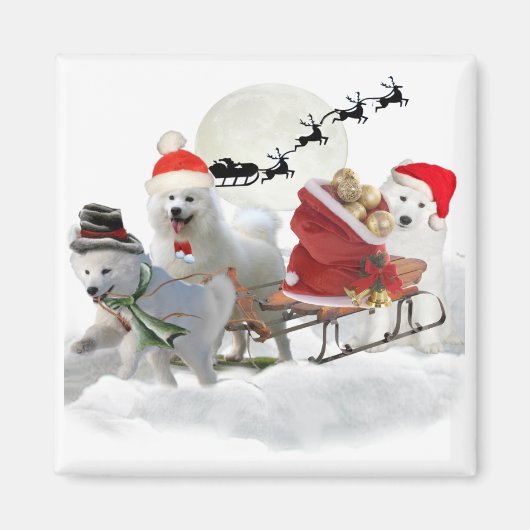 Samoyed Christmas Magents Magnet (Vorne)