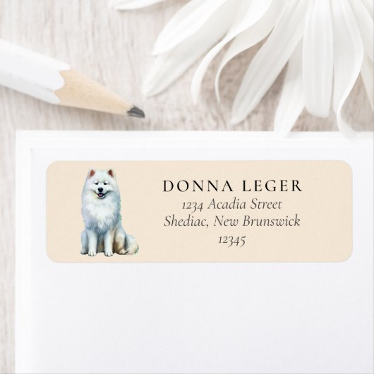 Samoyed Dog (Insitu)