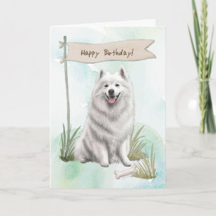 Samoyed Dog Breed Outdoor under Birthday Sign Karte
