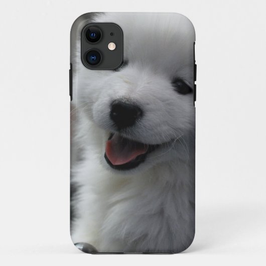 Samoyed Dog Case-Mate iPhone Hülle (Rückseite)