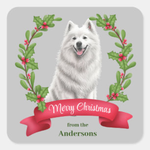 Samoyed Dog Holly Banner Weihnachten Quadratischer Aufkleber