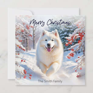 Samoyed Dog in Snow Frohe Weihnachtskarte Feiertagskarte