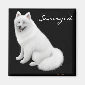 Samoyed Dog Magnet (Vorne)