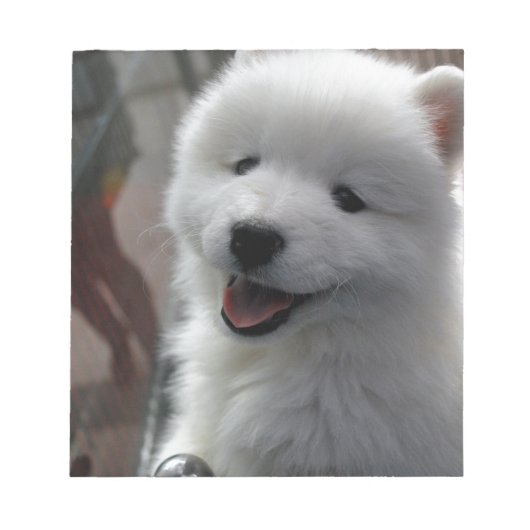 Samoyed Dog Notizblock (Vorderseite)