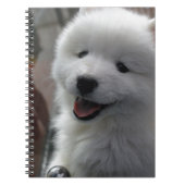 Samoyed Dog Notizblock (Vorderseite)