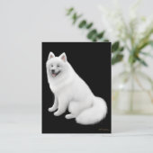 Samoyed Dog Postcard Postkarte (Stehend Vorderseite)