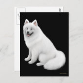 Samoyed Dog Postcard Postkarte (Vorne/Hinten)