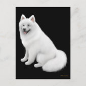 Samoyed Dog Postcard Postkarte (Vorderseite)