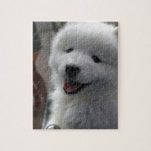 Samoyed Dog Puzzle