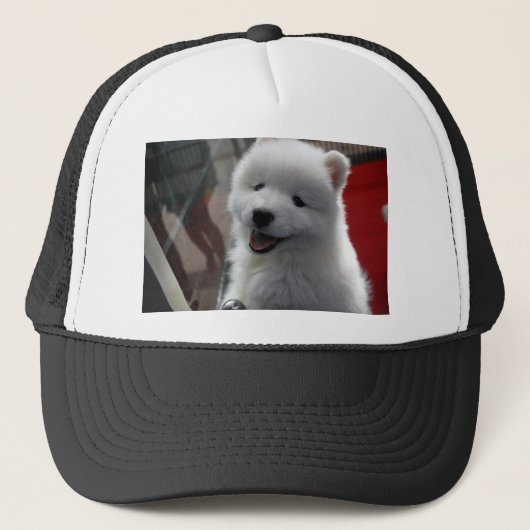 Samoyed Dog Truckerkappe (Vorderseite)