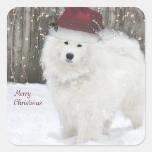 Samoyed-Feiertags-Aufkleber--20 gerundete Quadrate Quadratischer Aufkleber