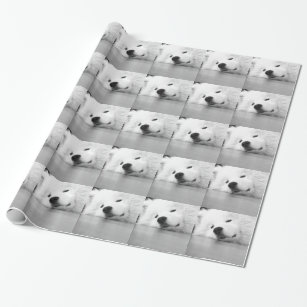 Samoyed-Foto-Hundeweiß Geschenkpapier