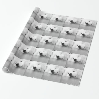 Samoyed-Foto-Hundeweiß Geschenkpapier