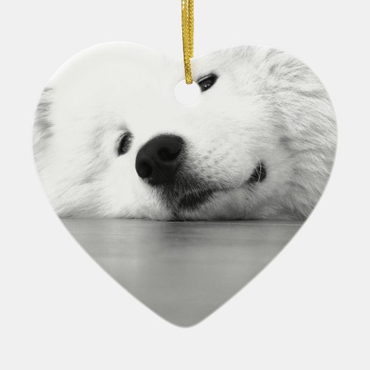Samoyed-Foto-Hundeweiß Keramik Ornament (Vorne)