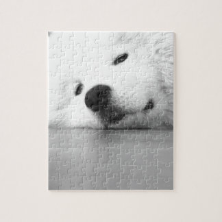 Samoyed-Foto-Hundeweiß Puzzle