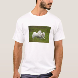 Samoyed Furby T - Shirt