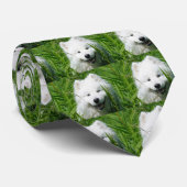 Samoyed-Gesichts-Krawatte Krawatte (Gerollt)