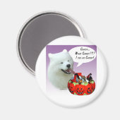 Samoyed Halloween Candy Magnet (Vorderseite/Rückseite)