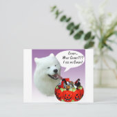 Samoyed Halloween Candy Postkarte (Stehend Vorderseite)