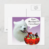 Samoyed Halloween Candy Postkarte (Vorne/Hinten)