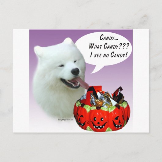 Samoyed Halloween Candy Postkarte (Vorderseite)