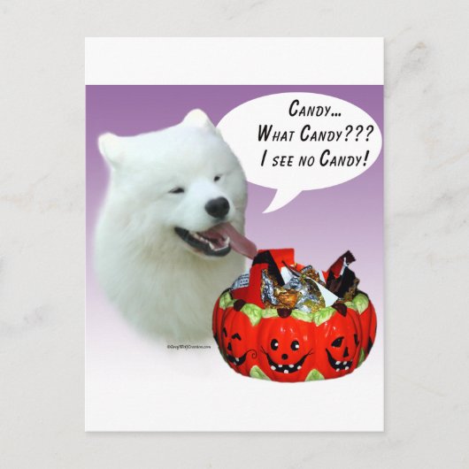 Samoyed Halloween Candy Postkarte (Vorderseite)