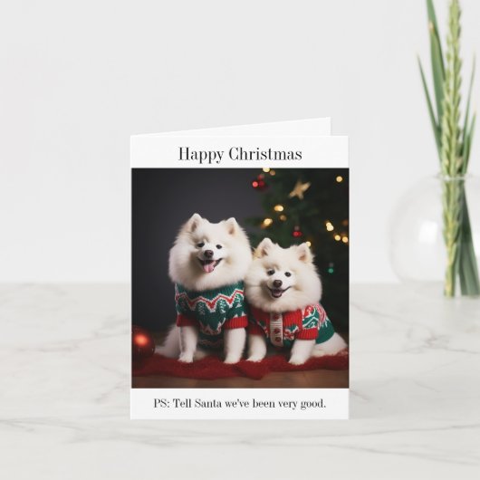 Samoyed Hogs Frohe Weihnachtskarte Karte (Vorderseite)