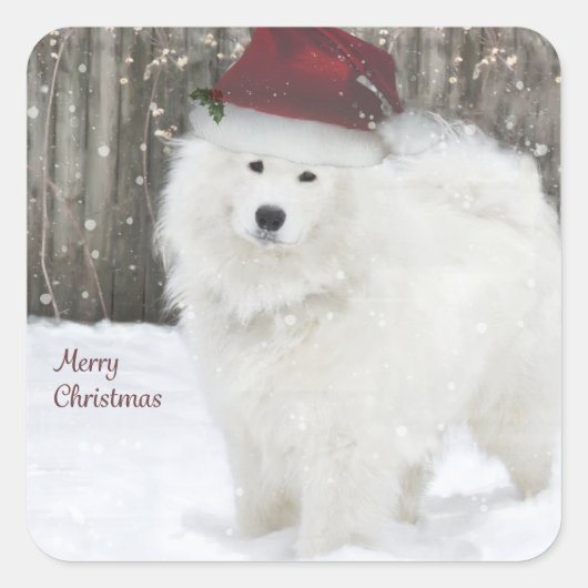 Samoyed Holiday Stickers - 20 gerundete Plätze (Vorderseite)