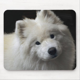 Samoyed-Hund Mousepad