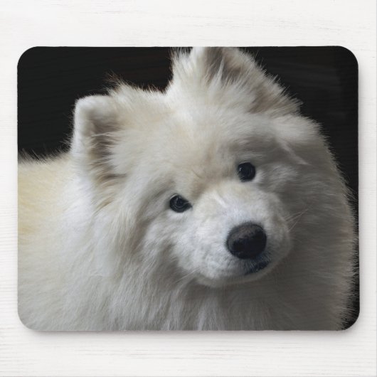 Samoyed-Hund Mousepad (Vorne)