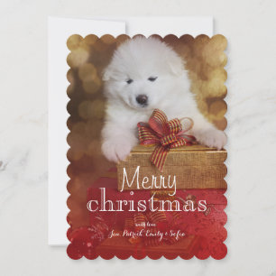 Samoyed-Hündchen mit Weihnachtsgeschenken Feiertagskarte