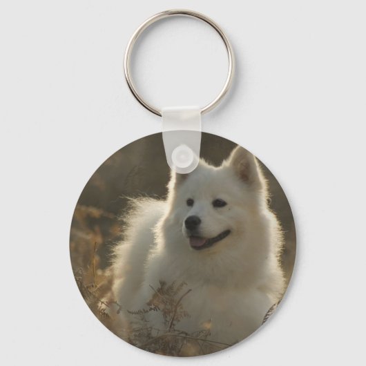 Samoyed Hunde Rasse Schlüsselanhänger (Vorderseite)