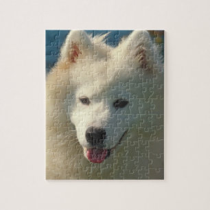 Samoyed-Hundepuzzlespiel Puzzle
