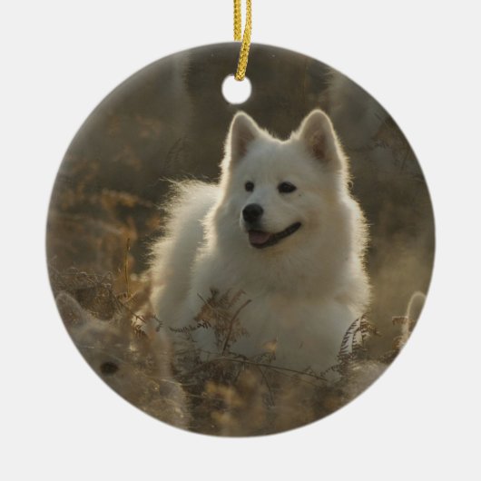 Samoyed-Hundeverzierung Keramikornament (Vorne)