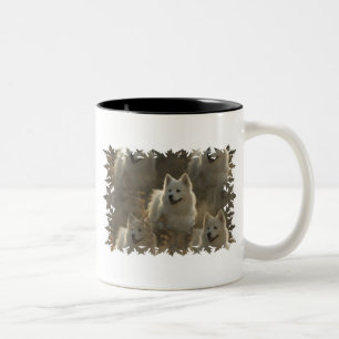 Samoyed-Hundezucht-Kaffeetasse Zweifarbige Tasse