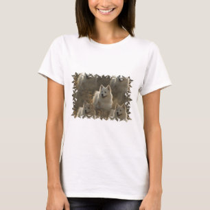 Samoyed-Hundezucht-langer Hülsen-T - Shirt