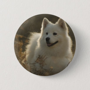 Samoyed-Hundezucht-rundes Button