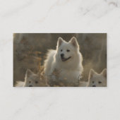 Samoyed-Hundezucht-Visitenkarte Visitenkarte (Rückseite)
