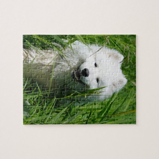 Samoyed im Gras-Puzzlespiel Puzzle (Horizontal)