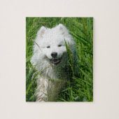 Samoyed im Gras-Puzzlespiel Puzzle (Vertikal)