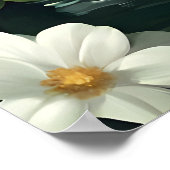 Samoyed In Bathtub Poster, Funny Dog Poster (Ecke)