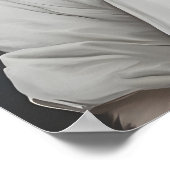 Samoyed In Chefs Hat Poster, Pet Poster, Samoyed Poster (Ecke)