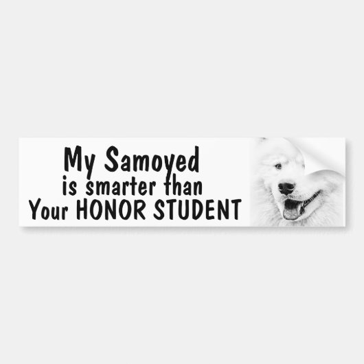 Samoyed intelligenter als der Ehrenstudent - Autoaufkleber (Vorne)